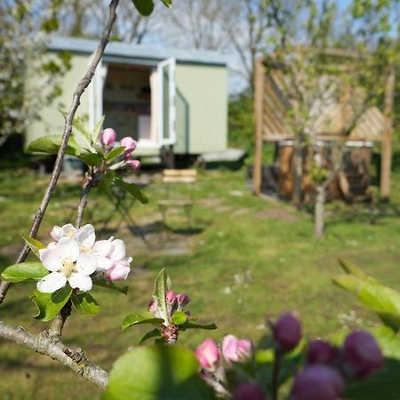 Hillcrest Hut Lejlighed Tenby Eksteriør billede