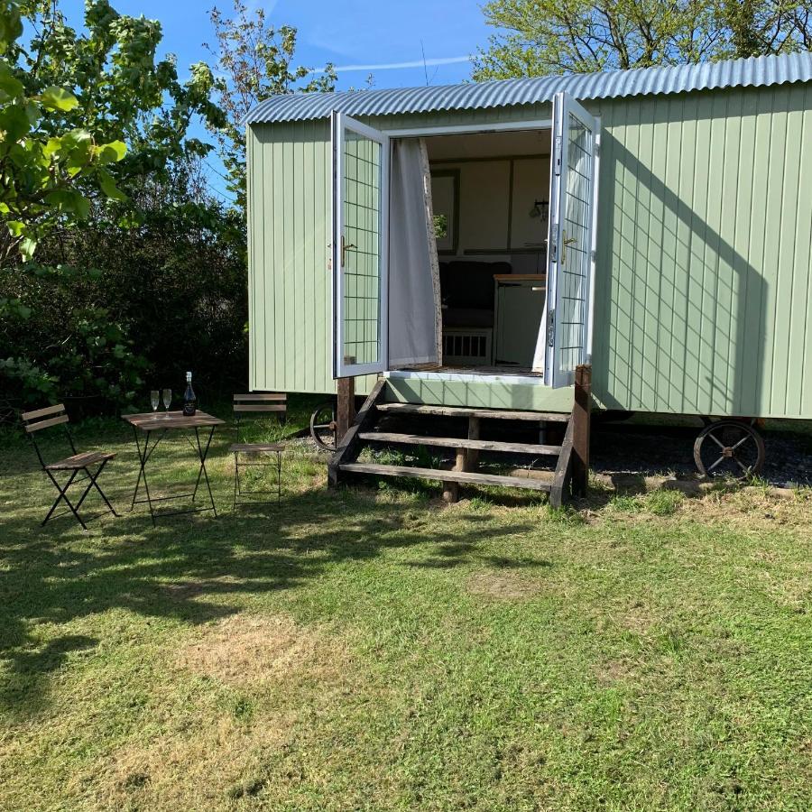 Hillcrest Hut Lejlighed Tenby Eksteriør billede