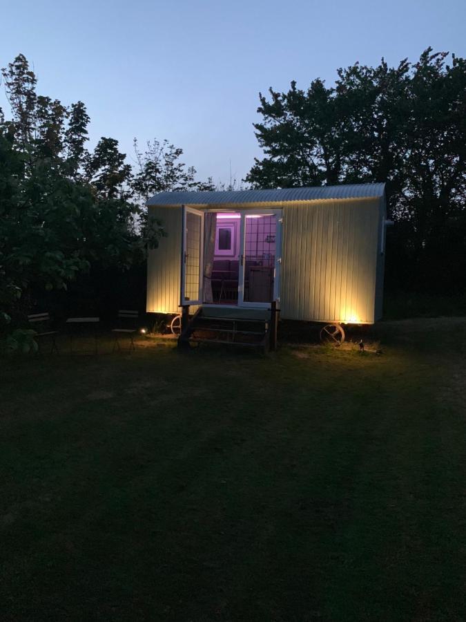 Hillcrest Hut Lejlighed Tenby Eksteriør billede