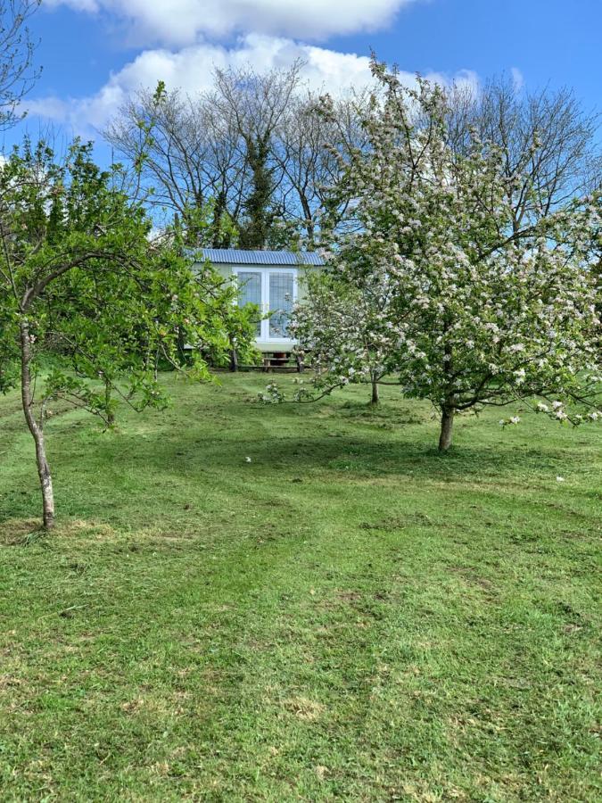 Hillcrest Hut Lejlighed Tenby Eksteriør billede